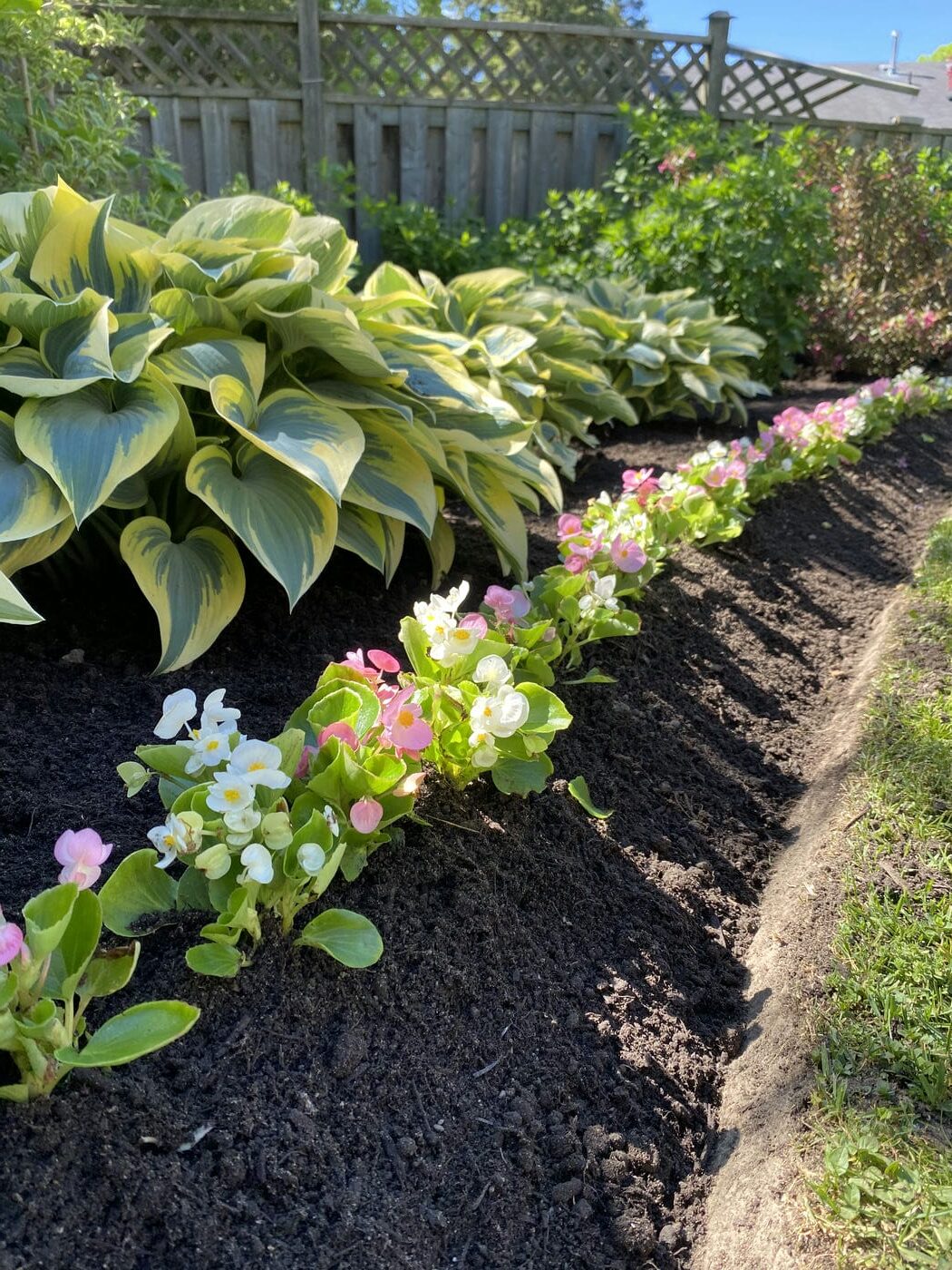 softscaping flower bed